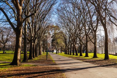 Carlton Gardens on a clear sunny winters day in Melbourne Australia clipart