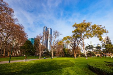 MELBOURNE, AUSTRALYA - 1 Ağustos 2024: Melbourne Avustralya 'da güneşli bir kış gününde Carlton Bahçeleri