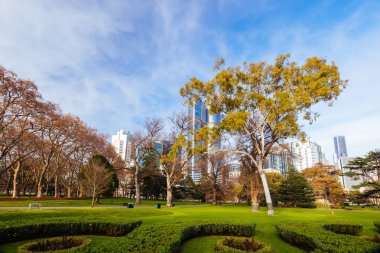 MELBOURNE, AUSTRALYA - 1 Ağustos 2024: Melbourne Avustralya 'da güneşli bir kış gününde Carlton Bahçeleri