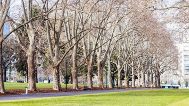 MELBOURNE, AUSTRALIA - AUGUST 1, 2024: Carlton Gardens on a clear sunny winters day in Melbourne Australia clipart