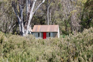 Schlink Geçidi yakınlarındaki Kosciuszko Ulusal Parkı 'ndaki tarihi At Kampı Kulübesi açık bir yaz gününde, Yeni Güney Galler, Avustralya' daki Karlı Dağlar 'da