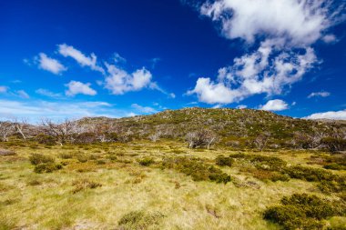 Landscape views along the Porcupine Walking Track on a summers day in Kosciuszko National Park, Snowy Mountains, New South Wales, Australia clipart