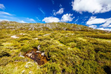 Landscape views along the Porcupine Walking Track on a summers day in Kosciuszko National Park, Snowy Mountains, New South Wales, Australia clipart