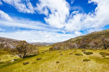 Kosciuszko Ulusal Parkı, Karlı Dağlar, Yeni Güney Galler, Avustralya 'da bir yaz gününde Kirpi Yürüyüş Pisti boyunca manzara