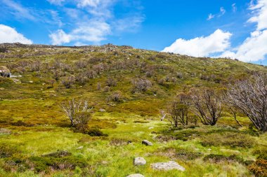 Perisher köyü yazın Kosciuszko Ulusal Parkı, Karlı Dağlar, Yeni Güney Galler, Avustralya