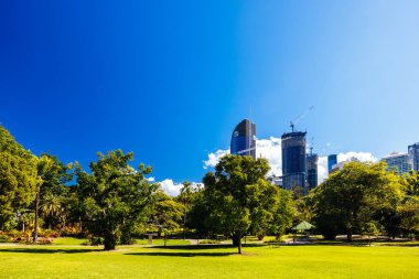 BRISBANE, AUSTRALYA - 29 Temmuz 2023: Brisbane, Queensland, Avustralya 'da açık bir kış gününde Şehir Botanik Bahçeleri