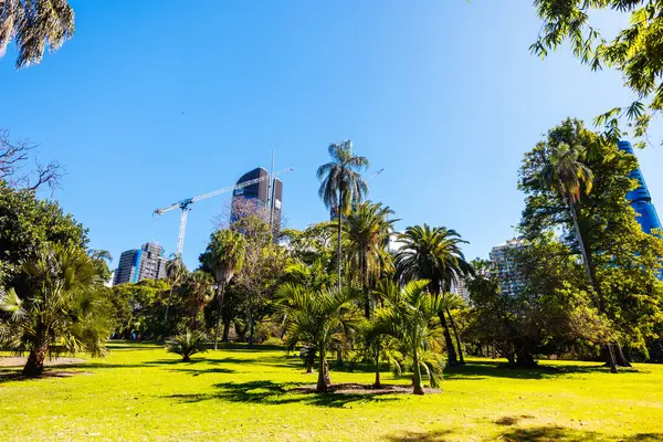 BRISBANE, AUSTRALYA - 29 Temmuz 2023: Brisbane, Queensland, Avustralya 'da açık bir kış gününde Şehir Botanik Bahçeleri