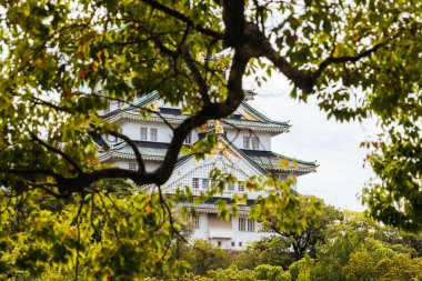OSAKA, JAPONYA - 25 Eylül 2024 'te Japonya' nın Osaka kentinde sıcak bir sonbahar gününde ikonik Osaka Kalesi ve yemyeşil çevre