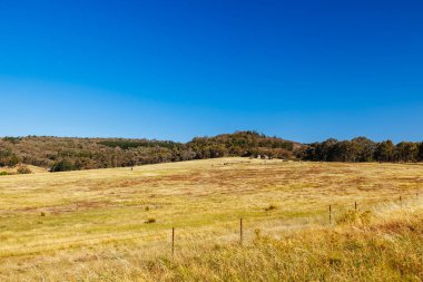 BEECHworTH, AUSTRALIA - 1 Ocak 2025: Beechworth, Avustralya 'daki Beechworth Tarih Parkı yakınlarındaki ünlü Düz Kaya ve manzara
