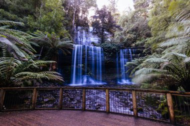 Tazmanya, Avustralya 'da soğuk bir bahar öğleden sonrasında Field Ulusal Parkı' ndaki görkemli Russell Şelalesi.