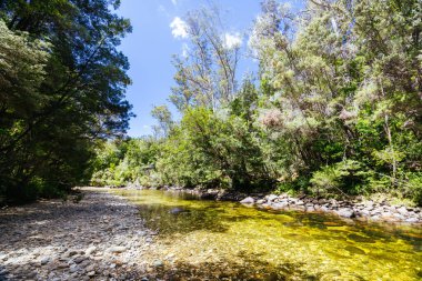 Tazmanya, Avustralya 'da sıcak bir yaz gününde Franklin-Gordon Vahşi Nehirleri Ulusal Parkı' ndaki Fransız Köprüsü Asıldı