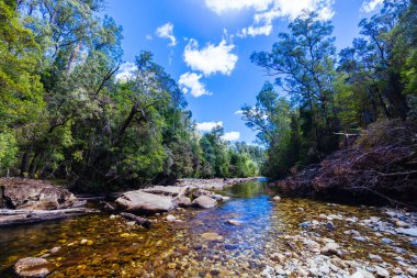 Frenchmans Cap Suspended Bridge in Franklin-Gordon Wild Rivers National Park on a hot summers day in Tasmania, Australia clipart