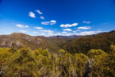Donaghys Hill, Tazmanya, Avustralya 'da sıcak bir yaz gününde Franklin-Gordon Wild Rivers Ulusal Parkı' nda Fransız Cap ile birlikte yürür.