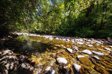 Franklin-Gordon Vahşi Nehirleri Ulusal Parkı 'ndaki Franklin Nehri Doğa Yolu çevresindeki su Tazmanya, Avustralya' da sıcak bir yaz günü