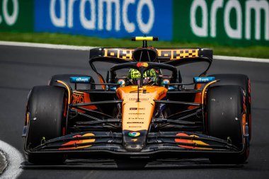 Büyük Britanya 'dan Lando Norris, Avustralya' nın Melbourne kentindeki Albert Park 'ta yapılan üçüncü antrenmanda McLaren Formula 1 takımı MCL39' u sürüyor.