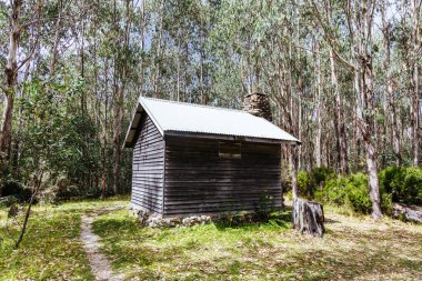 Açık bir yaz gününde, Marysville, Victoria, Avustralya yakınlarındaki tarihi Keppel Kulübesi.