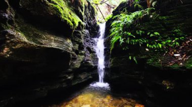 Myrtle Gully Falls yakınlarındaki Wellington Dağı 'nın yamaçlarında yer alan güzel Secret Falls Hobart, Tazmanya, Avustralya' da ılık bir bahar günüdür.