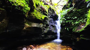 Myrtle Gully Falls yakınlarındaki Wellington Dağı 'nın yamaçlarında yer alan güzel Secret Falls Hobart, Tazmanya, Avustralya' da ılık bir bahar günüdür.
