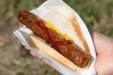 Seçim günü sosisi mangalda sosis, halk arasında sosis cızırtısı olarak bilinir.