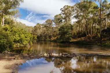 Warrandyte, Victoria, Avustralya 'da sıcak bir sonbahar gününde Warrandyte Eyalet Parkı' nın bir parçası olarak Yarra Nehri boyunca Mavi Dil Virajı Yürüyüşü.