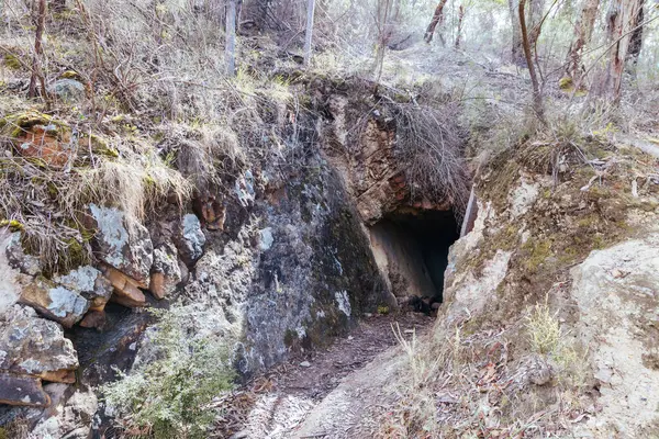 Altın Miras içinde Johnsons Madeni Warrandyte, Victoria, Avustralya 'da sıcak bir sonbahar gününde Warrandyte State Park' taki Dördüncü Tepe Altın Anıtı 'nın etrafında yürüyüş.