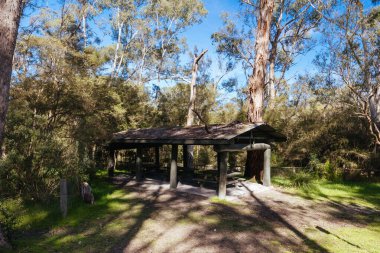 Warrandyte, Victoria, Avustralya 'da sıcak bir kış gününde Warrandyte Eyalet Parkı' nın bir parçası olarak Yarra Nehri boyunca Jumping Creek Rezerv Kanosu fırlatma alanı.