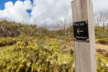 Açık bir yaz gününde, Marysville, Victoria, Avustralya yakınlarındaki Lake Mountain zirvesinde kayak parkurlarında yürüyüş izleri var.