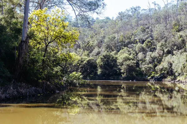 Warrandyte, Victoria, Avustralya 'da sıcak bir kış gününde Warrandyte Eyalet Parkı' nın bir parçası olarak Yarra Nehri boyunca Mavi Dil Virajı Yürüyüşü.
