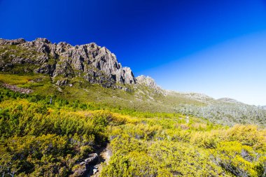 Beşik Dağı 'nın batı yamaçlarında Fagus' un dönüşü sıcak bir sonbahar öğleden sonrasında Cradle Mountain, Tazmanya, Avustralya 'daki Barn Bluff yakınlarındaki Overland Pisti' nin bir parçası olarak gerçekleşir.