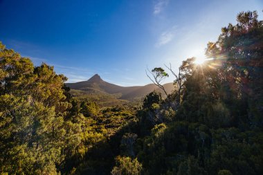 Barn Bluff 'un günbatımında geniş manzara manzarası ve dağ roketi de dahil olmak üzere Alp çalılıkları Cradle Mountain, Tazmanya, Avustralya' da sıcak bir sonbahar akşamında görülür.