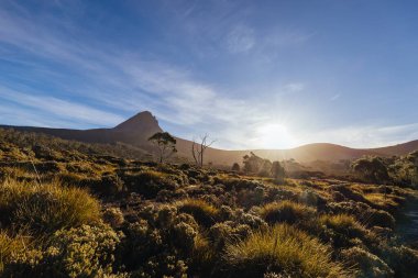 Barn Bluff ve Alp fundalıklarının günbatımında geniş manzara manzarası Cradle Mountain, Tazmanya, Avustralya 'da sıcak bir sonbahar akşamında görülür.