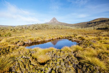 Geniş manzara sabahın erken saatlerinde Cradle Mountain, Tazmanya, Avustralya 'da sıcak bir sonbahar akşamında Ahır Kayalıkları ve alp fundalıklarının manzarasını gösterir.