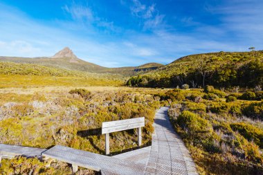 Geniş manzara sabahın erken saatlerinde Cradle Mountain, Tazmanya, Avustralya 'da sıcak bir sonbahar akşamında Ahır Kayalıkları ve alp fundalıklarının manzarasını gösterir.