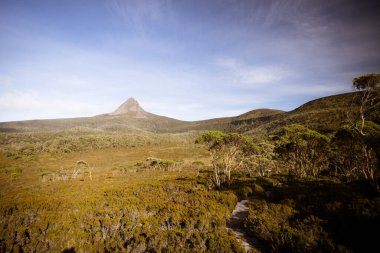 Geniş manzara sabahın erken saatlerinde Cradle Mountain, Tazmanya, Avustralya 'da sıcak bir sonbahar akşamında Ahır Kayalıkları ve alp fundalıklarının manzarasını gösterir.