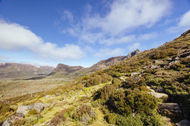 Ossa Dağı 'nın geniş manzarası ve Cradle Dağı, Tazmanya, Avustralya' da açık bir sonbahar öğleden sonrası çevresi