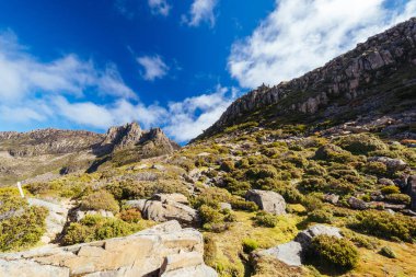 Japon Bahçeleri ve Ossa Dağı 'nın geniş manzarası. Sıcak bir sonbahar öğleden sonrası, açık bir günde Tazmanya, Avustralya' da.