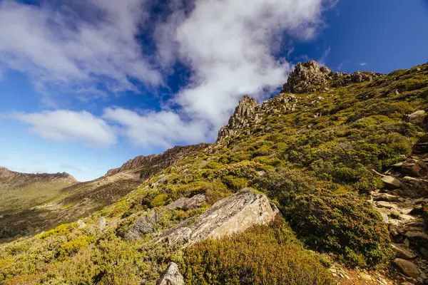 Ossa Dağı 'nın geniş manzarası ve Cradle Dağı, Tazmanya, Avustralya' da açık bir sonbahar öğleden sonrası çevresi