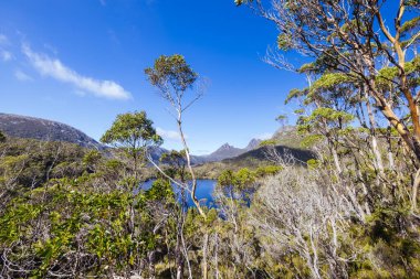 Cradle Dağı, Tazmanya, Avustralya 'da, sıcak bir sonbahar sabahında, Lilla Gölü etrafındaki dağ manzarası.