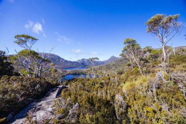 Cradle Dağı, Tazmanya, Avustralya 'da, sıcak bir sonbahar sabahında, Lilla Gölü etrafındaki dağ manzarası.