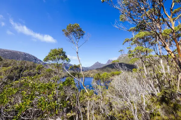 Cradle Dağı, Tazmanya, Avustralya 'da, sıcak bir sonbahar sabahında, Lilla Gölü etrafındaki dağ manzarası.