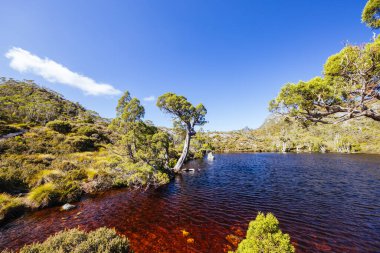 Beşik Dağı, Tazmanya, Avustralya 'da, sıcak bir sonbahar sabahı, Wombat Havuzu' nun üzerindeki dağ manzarası.