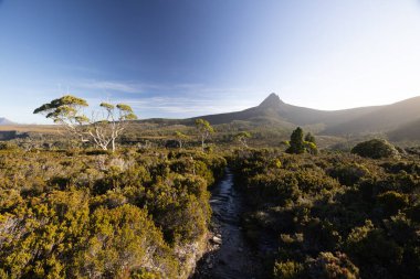 Barn Bluff 'un günbatımında geniş manzara manzarası ve Avustralya' nın Tazmanya bölgesindeki Cradle Mountain 'da sıcak bir sonbahar akşamında Overland Track' teki alp fundalıklarının manzarası