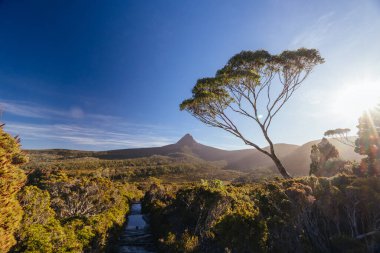 Barn Bluff 'un günbatımında geniş manzara manzarası ve Avustralya' nın Tazmanya bölgesindeki Cradle Mountain 'da sıcak bir sonbahar akşamında Overland Track' teki alp fundalıklarının manzarası
