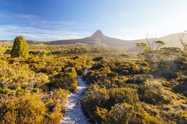 Barn Bluff 'un günbatımında geniş manzara manzarası ve Avustralya' nın Tazmanya bölgesindeki Cradle Mountain 'da sıcak bir sonbahar akşamında Overland Track' teki alp fundalıklarının manzarası