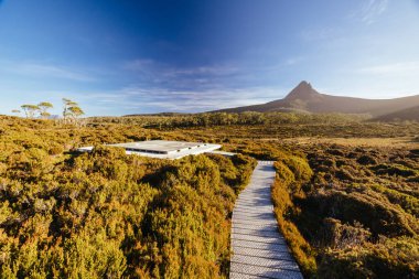 Barn Bluff ve Alp fundalıklarının günbatımında geniş manzara manzarası Cradle Mountain, Tazmanya, Avustralya 'da sıcak bir sonbahar akşamında görülür.