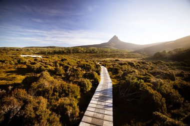 Barn Bluff 'un günbatımında geniş manzara manzarası ve Avustralya' nın Tazmanya bölgesindeki Cradle Mountain 'da sıcak bir sonbahar akşamında Overland Track' teki alp fundalıklarının manzarası