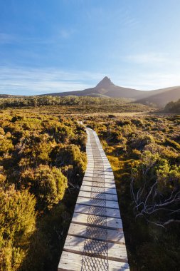 Barn Bluff 'un günbatımında geniş manzara manzarası ve Avustralya' nın Tazmanya bölgesindeki Cradle Mountain 'da sıcak bir sonbahar akşamında Overland Track' teki alp fundalıklarının manzarası