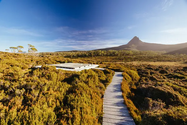 Barn Bluff ve Alp fundalıklarının günbatımında geniş manzara manzarası Cradle Mountain, Tazmanya, Avustralya 'da sıcak bir sonbahar akşamında görülür.