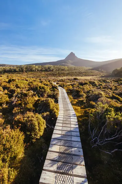 Barn Bluff 'un günbatımında geniş manzara manzarası ve Avustralya' nın Tazmanya bölgesindeki Cradle Mountain 'da sıcak bir sonbahar akşamında Overland Track' teki alp fundalıklarının manzarası