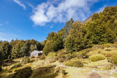 Patrick Joseph Paddy Hartnett tarafından Overland Pisti 'nde inşa edilen Iconic Du Cain Hut bölgedeki en eski yapıdır. Sıcak bir sonbahar sabahı, Cradle Mountain, Tazmanya, Avustralya 'da çekilmiş.